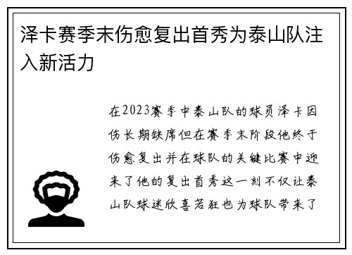 泽卡赛季末伤愈复出首秀为泰山队注入新活力